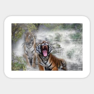 Siberian Tiger -  02 Sticker